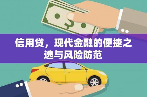 阳原信用贷，现代金融的便捷之选与风险防范