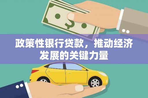 洮北政策性银行贷款，推动经济发展的关键力量