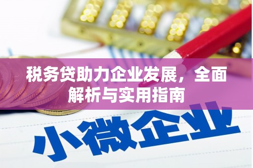 岱岳税务贷助力企业发展，全面解析与实用指南