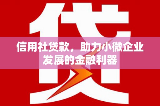 邹平信用社贷款，助力小微企业发展的金融利器