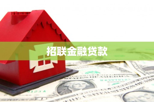 姚安招联金融贷款