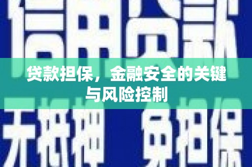 塔城贷款担保，金融安全的关键与风险控制