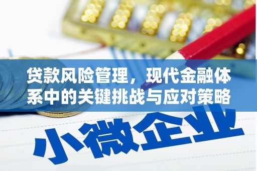 大堂贷款风险管理，现代金融体系中的关键挑战与应对策略
