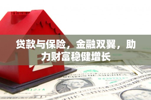 萝北贷款与保险，金融双翼，助力财富稳健增长