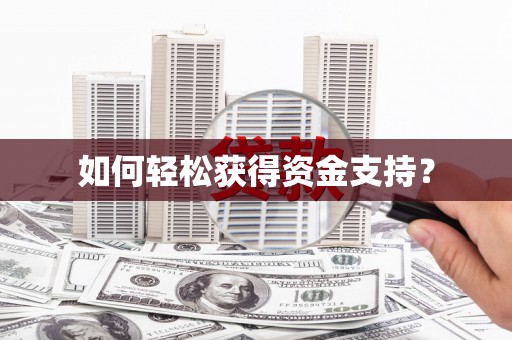 洪雅如何轻松获得资金支持？