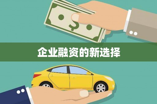 瑞芳企业融资的新选择