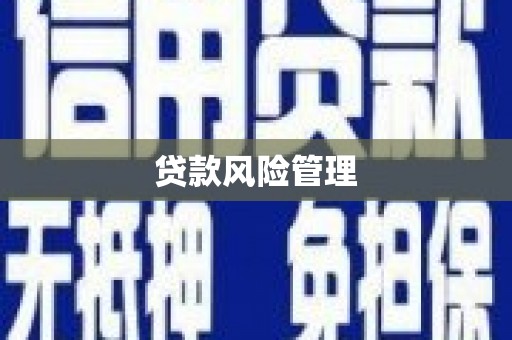 金溪贷款风险管理
