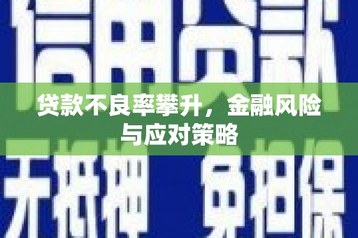 九江贷款不良率攀升，金融风险与应对策略