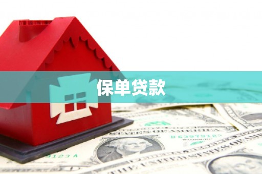 海安保单贷款 海安保单贷款